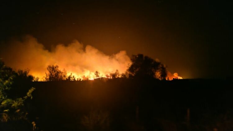 Αλεξανδρούπολη: Μεγάλη φωτιά σε δύσβατη περιοχή