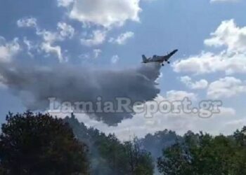 Φωτιά τώρα στον Γοργοπόταμο