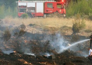 Γαλάτσι: Φωτιά στο Άλσος Βεΐκου