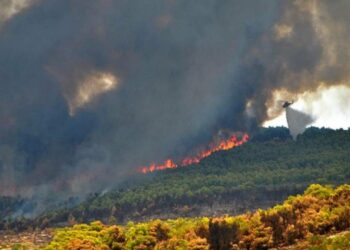 Κορινθία: Φωτιά στην περιοχή Κουταλάς – Ενισχύονται οι πυροσβεστικές δυνάμεις