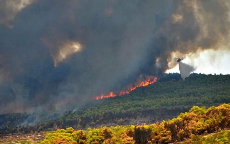 Κορινθία: Φωτιά στην περιοχή Κουταλάς – Ενισχύονται οι πυροσβεστικές δυνάμεις