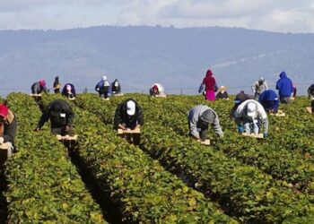 Λακωνία: 32 εργάτες  θετικοί στον κορονοϊό