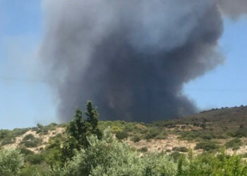 Φωτιά στο Λαύριο – Ισχυρές δυνάμεις της Πυροσβεστικής στο σημείο