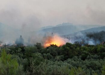 Ανεξέλεγκτη φωτιά στη Ζάκυνθο – Εσπευσμένα στην περιοχή ο αρχηγός της Πυροσβεστικής