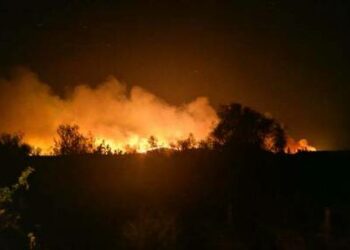 Φωτιά στον Εβρο: Οι φλόγες έφτασαν στο δάσος της Δαδιάς