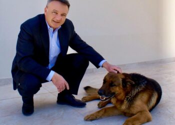 Απάντηση του Δήμου Ωρωπού στις συκοφαντικές και ψευδείς καταγγελίες για τα αδέσποτα ζώα: «Ο Δήμος Ωρωπού δεν είναι ζούγκλα»