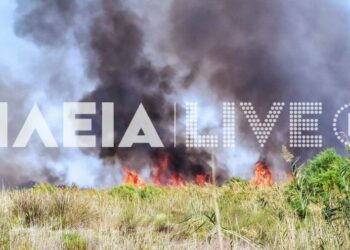 Φωτιά στη Μανωλάδα – Επιχειρούν ισχυρές δυνάμεις της Πυροσβεστικής