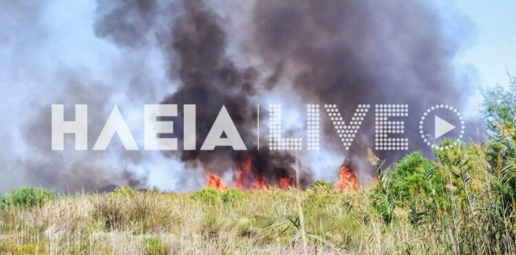 Φωτιά στη Μανωλάδα – Επιχειρούν ισχυρές δυνάμεις της Πυροσβεστικής