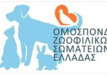 Τα προβλήματα που δημιουργεί στα ζώα συντροφιάς το νέο νομοσχέδιο