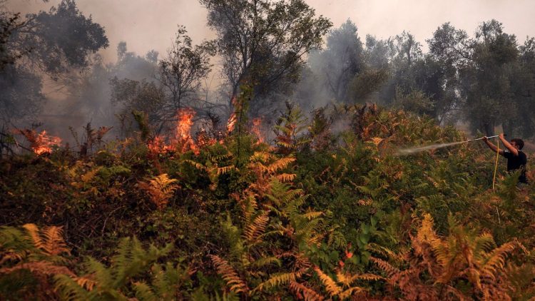 Στο μέτωπο της πυρκαγιάς στην Εύβοια η Ζωή Κωνσταντοπούλου