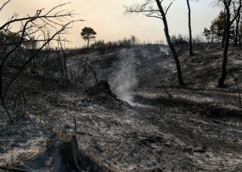 Οδοιπορικό της θλίψης στην καμένη Βόρεια Εύβοια