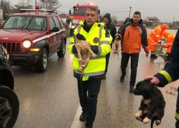 Κακοκαιρία «Διομήδης»: Ζημιές στα Φάρσαλα, μήνυμα του 112 στη Μαγνησία