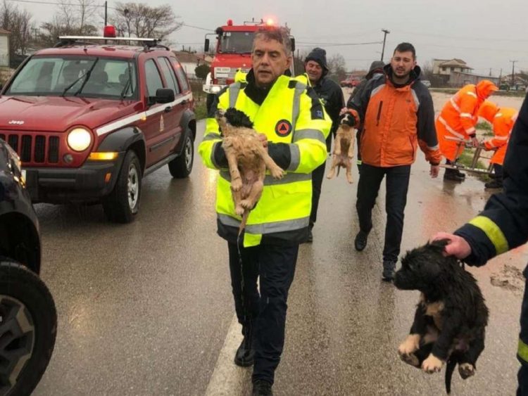 Κακοκαιρία «Διομήδης»: Ζημιές στα Φάρσαλα, μήνυμα του 112 στη Μαγνησία
