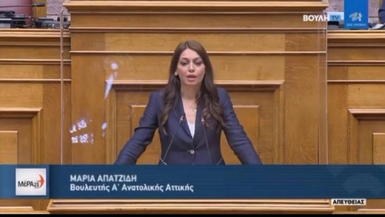 «Για την κυβέρνηση Μητσοτάκη η οικολογία είναι μια μπίζνα σαν τις άλλες»