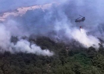 Συνεχίζεται για τέταρτη ημέρα η μεγάλη φωτιά στον Έβρο