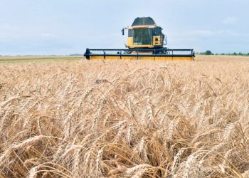 NASA: Η Ρωσία ελέγχει το 22% της αγροτικής γης της Ουκρανίας