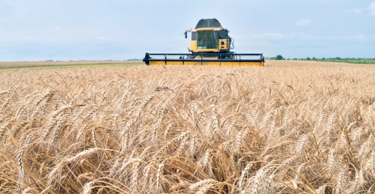 NASA: Η Ρωσία ελέγχει το 22% της αγροτικής γης της Ουκρανίας