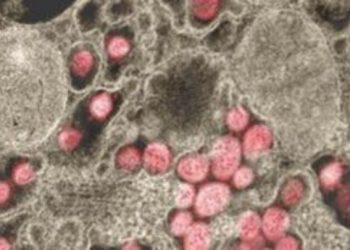 ΗΠΑ: Δεν υπάρχει απόδειξη ότι ο COVID-19 δημιουργήθηκε σε εργαστήριο στην Κίνα