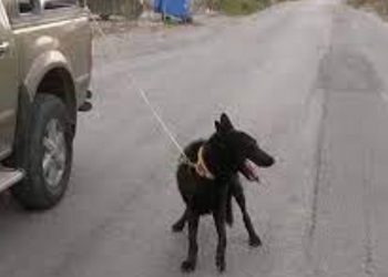 Ένας 64χρονος στη Θεσσαλονίκη έσερνε το σκύλο του δεμένο πίσω από αγροτικό αυτοκίνητο