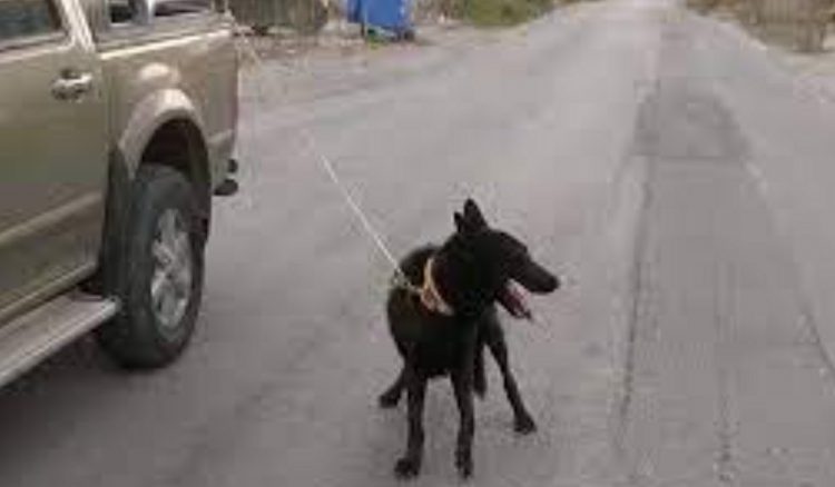 Ένας 64χρονος στη Θεσσαλονίκη έσερνε το σκύλο του δεμένο πίσω από αγροτικό αυτοκίνητο