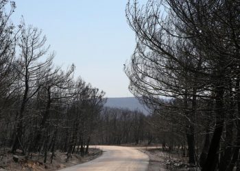 Φωτιά στον Έβρο: Το πύρινο μέτωπο προς το Σουφλί φτάνει τα 5 χιλιόμετρα