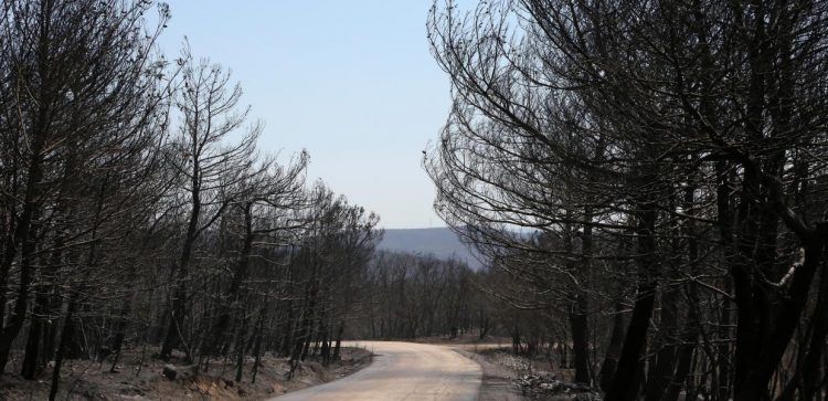 Φωτιά στον Έβρο: Το πύρινο μέτωπο προς το Σουφλί φτάνει τα 5 χιλιόμετρα