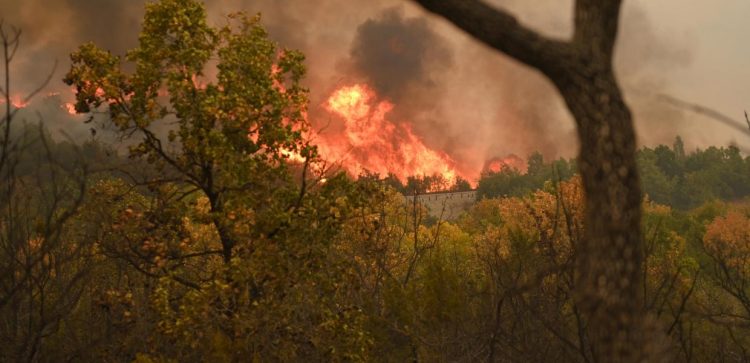 Ανεξέλεγκτο το πύρινο μέτωπο στη Βοιωτία