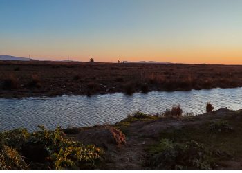 Μεσολόγγι: Εντοπίστηκε η σορός του 31χρονου Μπάμπη