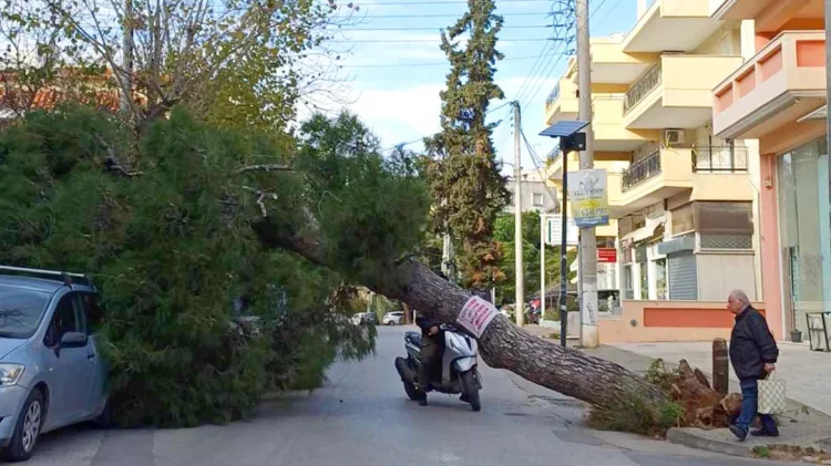 ‘Εκτακτο από την ΕΜΥ – Επιμένουν οι θυελλώδεις άνεμοι έως και 9 μποφόρ μέχρι το βράδυ