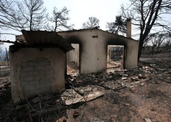 Δίκη για Μάτι: “Δεν είπαν λέξη για νεκρούς στον πρωθυπουργό εκείνο το βράδυ”, είπε η Ρ.Δούρου