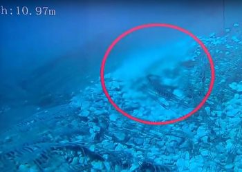 Δολιοφθορά στον υποθαλάσσιο αγωγό ύδρευσης στην Αίγινα – Αποκαλυπτικό βίντεο