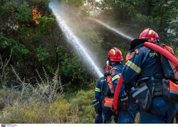 Θεσπρωτία: Φωτιά ξέσπασε στον Μανδρότοπο Σουλίου