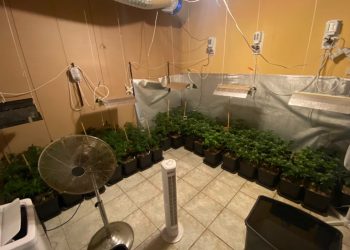 Θεσσαλονίκη: Μετέτρεψαν το σπίτι τους σε θερμοκήπιο για την καλλιέργεια κάνναβης