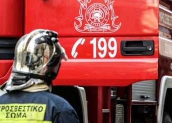 Ακραίφνιο Βοιωτίας: Χωρίς ενεργό μέτωπο η πυρκαγιά σε αγροτοδασική έκταση