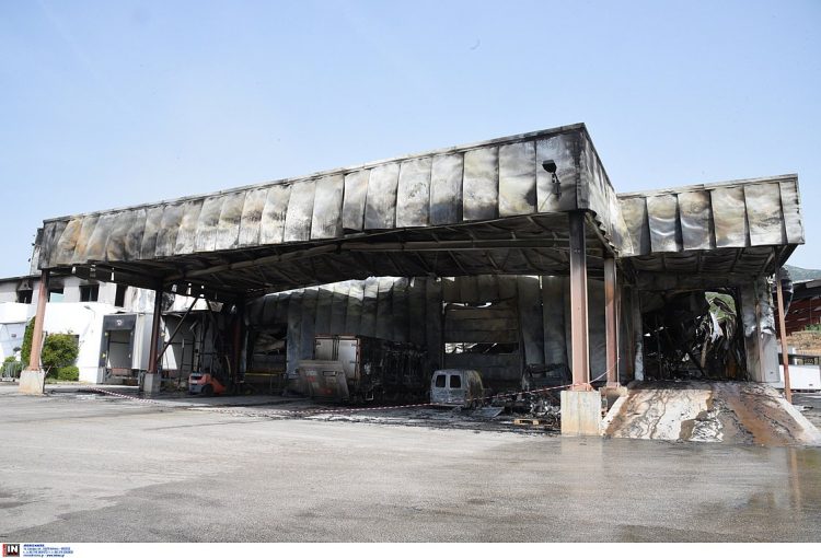 Λαμία: Ο ΕΦΕΤ αναστέλλει τη λειτουργία του εργοστασίου με τα χαλασμένα σχολικά γεύματα