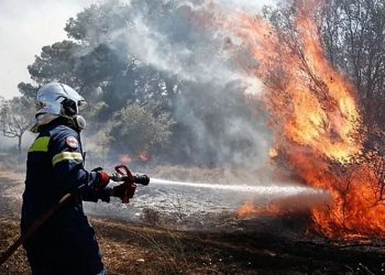 Σε εξέλιξη φωτιά στην περιφερειακή του Αιγάλεω