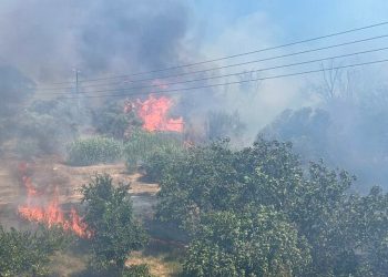 Σε εξέλιξη πυρκαγιά στην Προσύμνη Αργολίδας