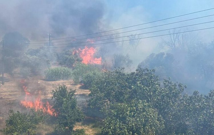 Σε εξέλιξη πυρκαγιά στην Προσύμνη Αργολίδας