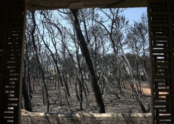 Μάτι: Έφεση για το σύνολο της απόφασης άσκησε η Εισαγγελία Εφετών