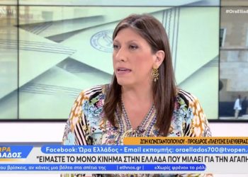 Ζωή Κωνσταντοπούλου: «Όσοι δεν συμπράττουν στην κατάργηση της υπουργικής και βουλευτικής ασυλίας δεν μπορούν να είναι με την Πλεύση Ελευθερίας» (video)