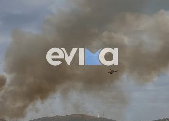 Φωτιά στην Εύβοια: Ενισχύθηκαν οι πυροσβεστικές δυνάμεις