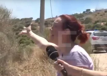 Φωτιά στην Κερατέα: Κραυγή αγωνίας από κάτοικο στο OPEN – «Πού θα μείνουμε αύριο;»