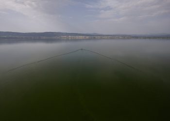 Θεσσαλονίκη: Τα νερά της λίμνης Βόλβης στο μικροσκόπιο των επιστημόνων