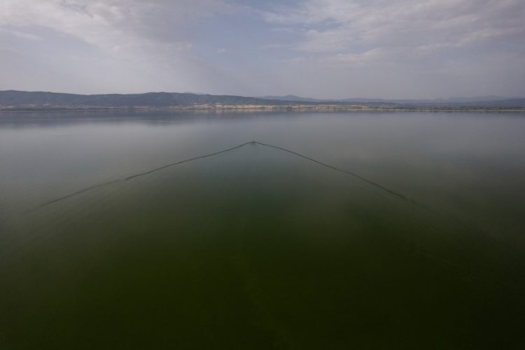 Θεσσαλονίκη: Τα νερά της λίμνης Βόλβης στο μικροσκόπιο των επιστημόνων