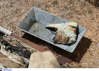 Άνω Λιόσια: Τι έδειξε η ψυχιατρική γνωμάτευση για το γιο του 82χρονου που βρέθηκε απανθρακωμένος