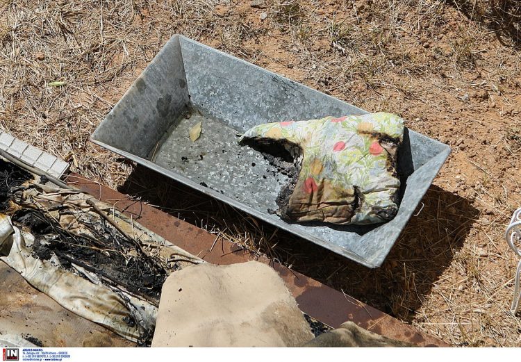 Άνω Λιόσια: Τι έδειξε η ψυχιατρική γνωμάτευση για το γιο του 82χρονου που βρέθηκε απανθρακωμένος