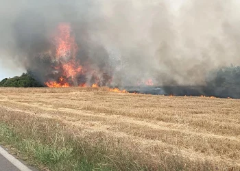 Ντόμινο πυρκαγιών – Μάχη με τις φλόγες σε Βαρυμπόμπη, Κόκκινο Μύλο, Αιγάλεω – 112 για φωτιά κοντά σε οικισμό στη Βόλβη