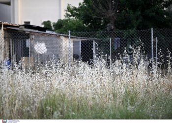 Έγκλημα στο Διόνυσο: «Τον σκότωσα γιατί δεν με άφηνε να καπνίζω»