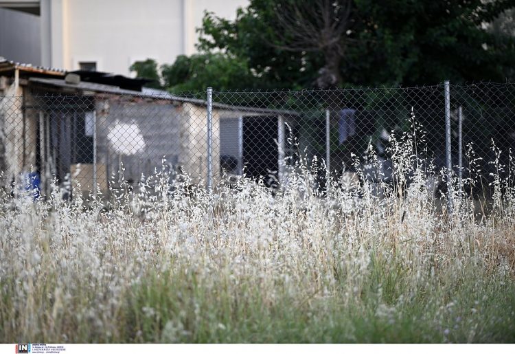 Έγκλημα στο Διόνυσο: «Τον σκότωσα γιατί δεν με άφηνε να καπνίζω»