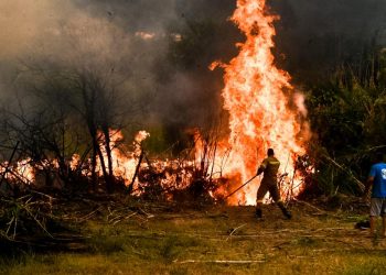Μεγάλη αναζωπύρωση της φωτιάς στη Βαλμοράχη Ηλείας – Μάχη με τις διάσπαρτες εστίες σε Λάττα και Πρόδρομο